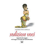 STECCANELLA SEDIZIOSE VOCI APPUNTI DI VIAGGIO NEL MAGICO MONDO DEL MELODRAMMA