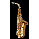 YANAGISAWA SAX ALTO IN BRONZO LACCATO