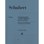 SCHUBERT VARIAZIONI SU TROCKNE BLUMEN PER FLAUTO E PIANO