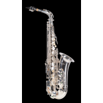 AMADEUS SAX CONTRALTO MIB ARGENTATO CON ASTUCCIO