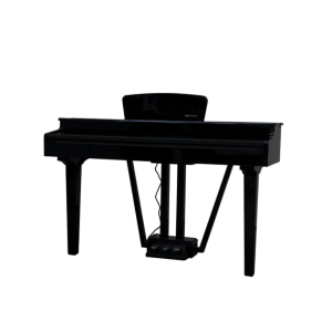 ECHORD GP10/B PIANOFORTE DIGITALE CODINO NERO