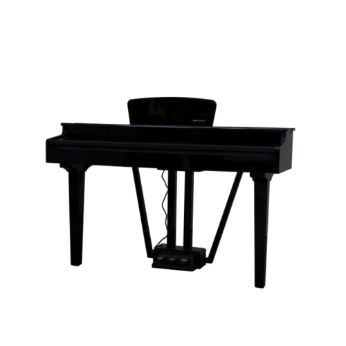 ECHORD GP10/B PIANOFORTE DIGITALE CODINO NERO