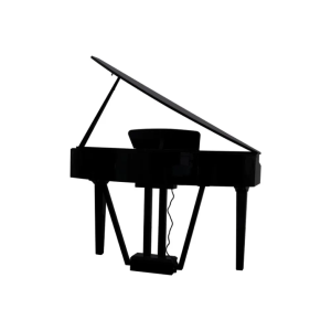 ECHORD GP10/B PIANOFORTE DIGITALE CODINO NERO