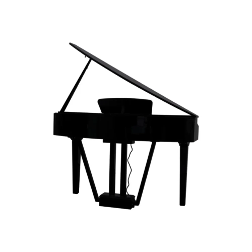 ECHORD GP10/B PIANOFORTE DIGITALE CODINO NERO