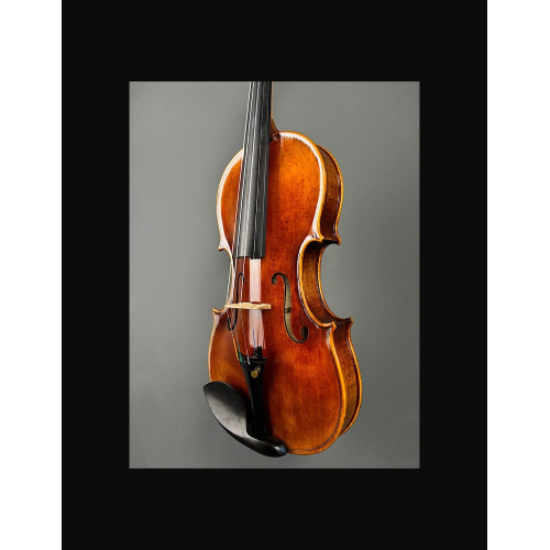 TARTINI VIOLINO 4/4 CONCERTO D-89 SET GT89004 CON CUSTODIA E ARCO