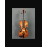 TARTINI VIOLINO 4/4 CONCERTO D-114 SET GT114002 CON CUSTODIA E ARCO