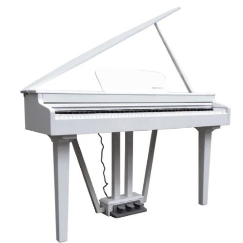 ECHORD GP10/W PIANOFORTE DIGITALE CODINO BIANCO