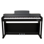 ECHORD DPX100 PIANOFORTE DIGITALE 88 TASTI PESATI NERO SATINATO