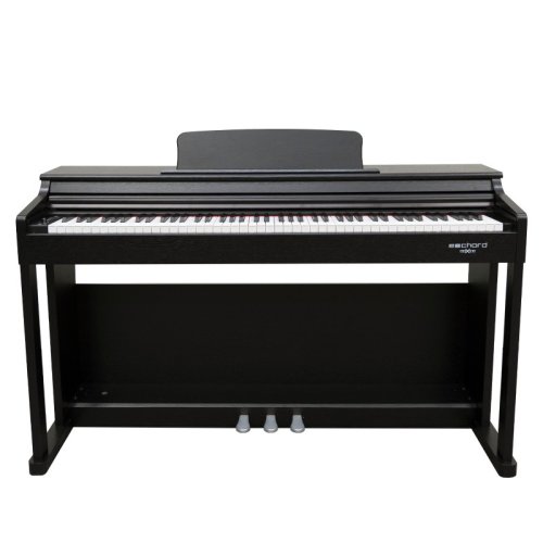 ECHORD DPX100 PIANOFORTE DIGITALE 88 TASTI PESATI NERO SATINATO