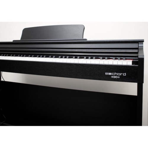 ECHORD DPX100 PIANOFORTE DIGITALE 88 TASTI PESATI NERO SATINATO