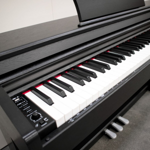 ECHORD DPX100 PIANOFORTE DIGITALE 88 TASTI PESATI NERO SATINATO