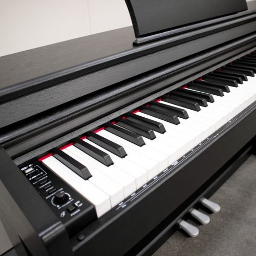 ECHORD DPX100 PIANOFORTE DIGITALE 88 TASTI PESATI NERO SATINATO